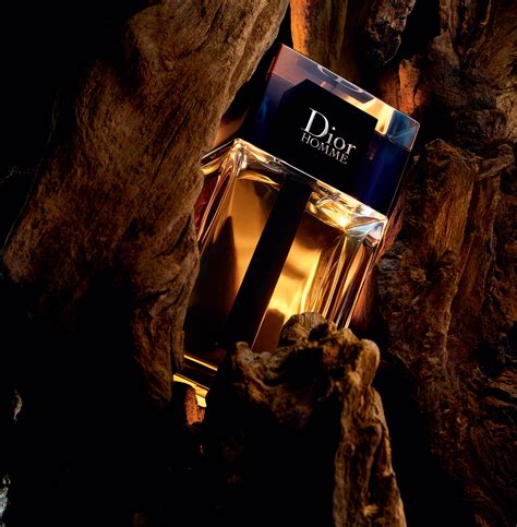 dior homme nightfall|Dior Homme 2020 cologne.